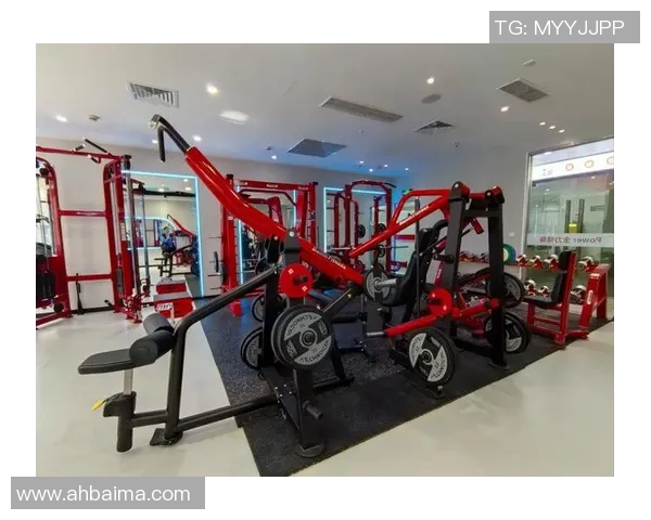 以U球为核心探讨新型运动器材的创新与发展方向 以U球为核心探讨新型运动器材的创新与发展方向