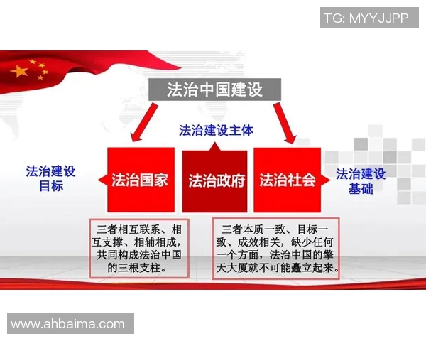 以法治为核心推动社会治理现代化建设全面提升法治国家建设水平