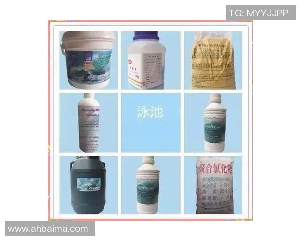 泳池清洁与设备保养全指南 提升水质与延长使用寿命的实用技巧