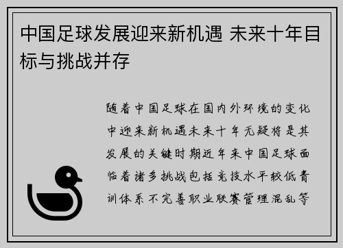 中国足球发展迎来新机遇 未来十年目标与挑战并存