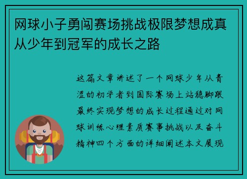网球小子勇闯赛场挑战极限梦想成真从少年到冠军的成长之路
