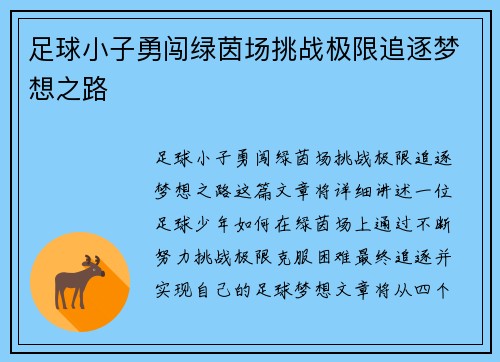 足球小子勇闯绿茵场挑战极限追逐梦想之路